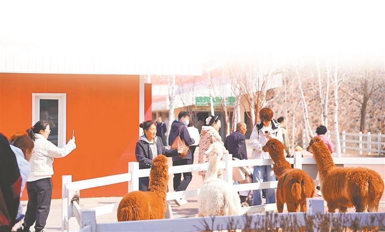 69d7457c4622c.jpg 69d7457c4622c.jpg